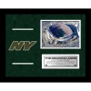 Steiner Sports NFL New York Jets Meadowlands 11x14 Arial Overhead Turf Collage