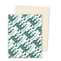 Wausau Paper Vellum Bristol Cover Stock, 67 lb, Letter, Ivory, 250 Sheets per Pack (82361) Wausau Paper Vellum Bristol Cover Stock, 67 lb, Letter, Ivory, 250 Sheets per Pack (82361)