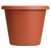 Akro Mils LIA06000E35 Classic Pot, Clay Color, 6-Inch Akro Mils LIA06000E35 Classic Pot, Clay Color, 6-Inch