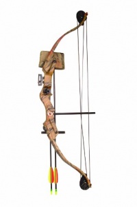 Arrow Precision Stag Youth Archery Recurve / Compound Set Arrow Precision Stag Youth Archery Recurve / Compound Set