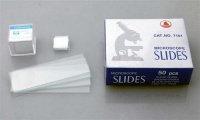 AmScope 50pc Pre-Cleaned Blank Ground Edge Glass Microscope Slides and 100pc Pre-Cleaned Square Glass Cover Slips Coverslips AmScope 50pc Pre-Cleaned Blank Ground Edge Glass Microscope Slides and 100pc Pre-Cleaned Square Glass Cover Slips Coverslips