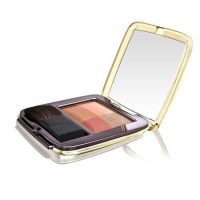 Blush 4 Eclats Sculpting Blush - # 03 Lueur D'Automne - 9g/0.32oz