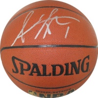 Steiner Sports NBA New York Knicks Amar'e Stoudemire Autographed Basketball