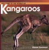 Kangaroos (Welcome to the World Series)