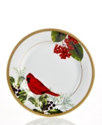A new holiday classic, the Holly Berry accent plate features filigree-patterned gold and a beautiful nature scene in elegant white porcelain. Complements Charter Club's Grand Buffet Classic Gold and Red Rim dinnerware. A new holiday classic, the Holly Berry accent plate features filigree-patterned gold and a beautiful nature scene in elegant white porcelain. Complements Charter Club's Grand Buffet Classic Gold and Red Rim dinnerware.