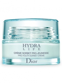 This rich and comforting hydrating crème targets and prevents the first signs of aging. Hydra Life Pro-Youth Comfort Créme delivers intense moisture to the skin's surface, stimulates water circulation between skin layers, instantly rejuvenates and provides a luminous finish to the skin. 1.7 oz. 