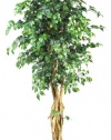 Nearly Natural 5216 Palace Style Ficus Silk Tree, 6-Feet, Green