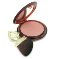 Guerlain Terracotta Blush & Sun Sheer Bronzing Blush