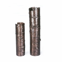 Part of the Botanical collection from Michael Aram, each piece is cast from branches found in nature. Cast from actual tree bark, the Bark Vases hold water up to a certain level and then show the beauty of the natural holes that bark creates over time. In oxidized copper, 2 sizes: 23.75 H or 16 H. Part of the Botanical collection from Michael Aram, each piece is cast from branches found in nature. Cast from actual tree bark, the Bark Vases hold water up to a certain level and then show the beauty of the natural holes that bark creates over time. In oxidized copper, 2 sizes: 23.75 H or 16 H.