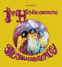 Are You Experienced (Vinyl) Are You Experienced (Vinyl)