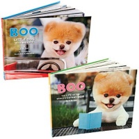 Boo Books: World's Cutest Dog and In the Big City (Set of 2) By J. H. Lee Boo Books: World's Cutest Dog and In the Big City (Set of 2) By J. H. Lee