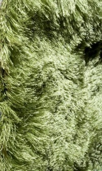 Area Rug 4x4 Round Shag Apple Green Color - Momeni Luster Shag Rug from RugPal Area Rug 4x4 Round Shag Apple Green Color - Momeni Luster Shag Rug from RugPal