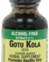 Nature's Answer Gotu Kola Herb, 1-Ounce