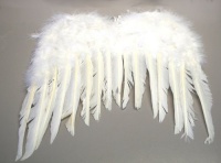Children's White FEATHER ANGEL WINGS Children's White FEATHER ANGEL WINGS