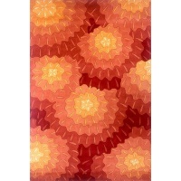 Momeni New Wave NEWWANW-69ORG2030 Orange Rug Momeni New Wave NEWWANW-69ORG2030 Orange Rug