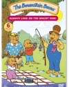 The Berenstain Bears: Always Look on the Bright Side