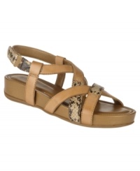 A spicy take on a shoe wardrobe essential. The comfortable Odilee sandals by Naturalizer cushion each step and gain a touch of attitude from exotic snake-print accents. A spicy take on a shoe wardrobe essential. The comfortable Odilee sandals by Naturalizer cushion each step and gain a touch of attitude from exotic snake-print accents.
