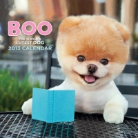 2013 Wall Calendar: Boo 2013 Wall Calendar: Boo