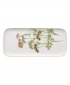 A natural for casual dining, the Althea Nova sandwich tray by Villeroy & Boch features durable porcelain planted with delicate herbs for a look that's fresh from the garden. Finished with a grass-green edge.