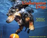 Underwater Dogs 2013 Wall Calendar Underwater Dogs 2013 Wall Calendar