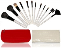 IANN Makeup Brush Set -14 Piece Cosmetic Set - With Luxurious Travel Case and Trendy Velvet Bag - Affordable Professional Eye Make Up Brushes - Best Makeup Brush Kit - Quality Beauty Tools - Eye Brush Collection - Look Beautiful Today - 30 Day Guarantee