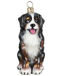 Puppy love at first sight. Just begging for a home, this Bernese Mountain dog ornament is irresistible to animal lovers in hand-painted glass by Joy to the World. Puppy love at first sight. Just begging for a home, this Bernese Mountain dog ornament is irresistible to animal lovers in hand-painted glass by Joy to the World.