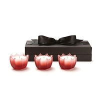 This set of three elegantly scalloped D.L. & Co. candles contain an invigorating fragrance blend of blood orange, red mandarin, grapefruit, sandalwood, and perilla-also known as the rare Japanese shiso, which boosts the immune system. Comes in an exquisite black ribboned box for the perfect gift. This set of three elegantly scalloped D.L. & Co. candles contain an invigorating fragrance blend of blood orange, red mandarin, grapefruit, sandalwood, and perilla-also known as the rare Japanese shiso, which boosts the immune system. Comes in an exquisite black ribboned box for the perfect gift.