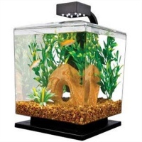 Tetra 29137 WaterWonders Aquarium Cube, 1.5 Gallons, Black Tetra 29137 WaterWonders Aquarium Cube, 1.5 Gallons, Black