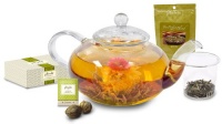 Primula 40-Ounce Daisy Tea Pot with 12 Flowering Green Teas with Jasmine Flavor and 1-1/4gm Packet of Loose Green Tea Primula 40-Ounce Daisy Tea Pot with 12 Flowering Green Teas with Jasmine Flavor and 1-1/4gm Packet of Loose Green Tea