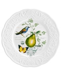 Ripe for the table, the Antique Countryside Pear dinner plate exudes charm with embossed vines and colorful nature scenes in traditional white stoneware. Complements Italian Countryside and Antique White dinnerware, also by Mikasa. Ripe for the table, the Antique Countryside Pear dinner plate exudes charm with embossed vines and colorful nature scenes in traditional white stoneware. Complements Italian Countryside and Antique White dinnerware, also by Mikasa.