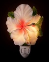 Hummingbird & Hibiscus Nightlight