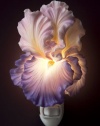 Purple Bearded Iris Night Light - Ibis & Orchid Flowers of Light Collection