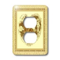 Jaclinart Rose Heart Garden Nature Florals Flowers Damask - Antique gold heart rose surrounded by golden tan damask and tile frames - Light Switch Covers - 2 plug outlet cover Jaclinart Rose Heart Garden Nature Florals Flowers Damask - Antique gold heart rose surrounded by golden tan damask and tile frames - Light Switch Covers - 2 plug outlet cover
