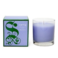 Lilac blossoms and the leafy green notes of English ivy are blended with watery nuances reminiscent of the morning dew. Classic Candle burns approximately 45 hours.