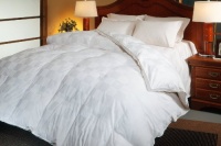 Blue Ridge Home Fashions, Hotel Grand Euro Check 500-Thread Count Hungarian White Goose Down Comforter, Full/Queen Blue Ridge Home Fashions, Hotel Grand Euro Check 500-Thread Count Hungarian White Goose Down Comforter, Full/Queen