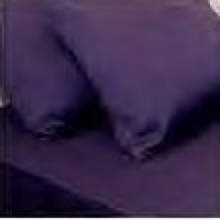 1500 Thread Count Queen 4pc Bed Sheet Set Microfiber weave Deep Pocket Plum 1500 Thread Count Queen 4pc Bed Sheet Set Microfiber weave Deep Pocket Plum