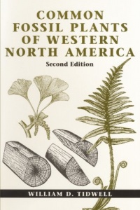 Common Fossil Plants of Western North America