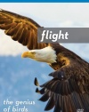 Flight: The Genius of Birds