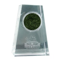 Steiner Sports NFL New York Giants Meadowlands Final Season Logo Crystal Steiner Sports NFL New York Giants Meadowlands Final Season Logo Crystal