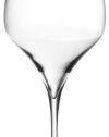 Riedel Vitis Syrah Glass, Set of 2