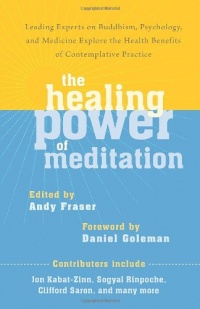 The Healing Power of Meditation: Leading Experts on Buddhism, Psychology, and Medicine Explore the Health Benefits of Contemplative Practice