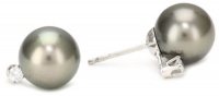TARA Pearls Tahitian Stud 9X10mm 14 Karat White Gold Stud Earrings TARA Pearls Tahitian Stud 9X10mm 14 Karat White Gold Stud Earrings