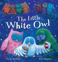Little White Owl Little White Owl