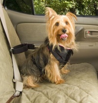 Solvit 62294 Pet Vehicle Safety Harness, Small Solvit 62294 Pet Vehicle Safety Harness, Small