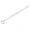 Silver Plated Chain Necklace Extender - 2 Inch W/ Spring Ring (x10)