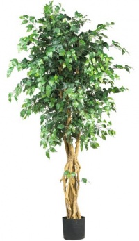 Nearly Natural 5216 Palace Style Ficus Silk Tree, 6-Feet, Green