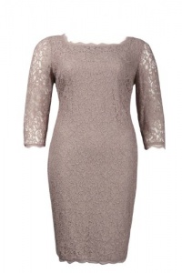 Adrianna Papell Stretch Lace Dress (Mauve) Adrianna Papell Stretch Lace Dress (Mauve)