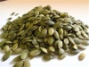 Pumpkin Seed Kernels RAW - 2 Pound Deal