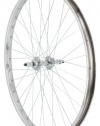 Avenir 36H Nutted Cruiser Style Rear Wheel with 7 Speed Freewheel Hub (Silver, 26 x 1.75-Inch)