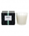 NEST Fragrances NEST03-MM Moss and Mint Scented 3-Wick Candle
